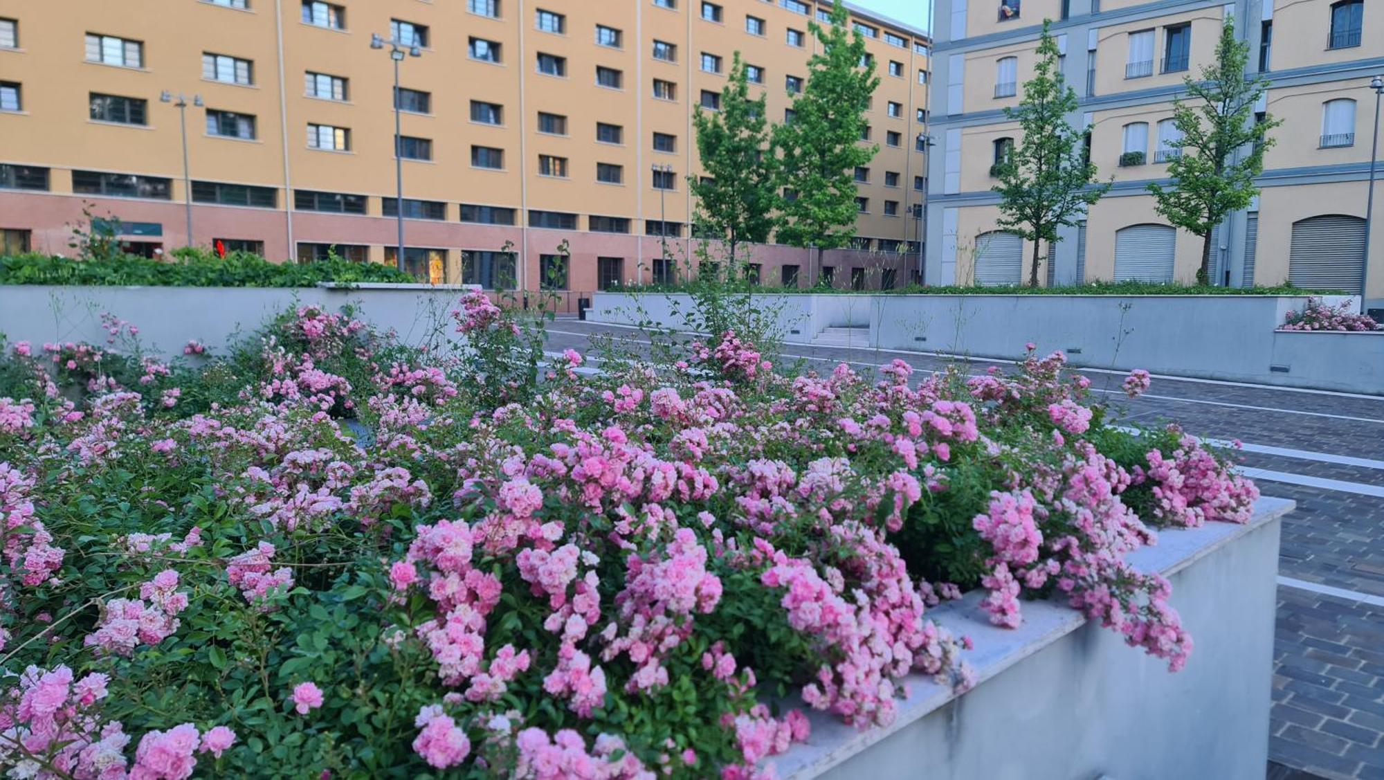 Milan Space Loft - Apartment Close To M5 Subway - Free Parking - Sky & Netflix Tv المظهر الخارجي الصورة